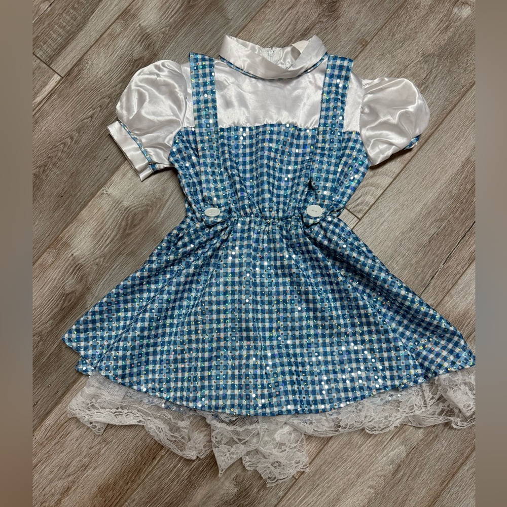 Dorothy/Wizard of Oz Costume🌈🌈